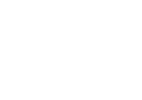 Studio Wildcard logo